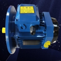 無(wú)刷工縫節(jié)能電機(jī)PE2是什么情況