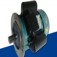 三相鼠籠式異步電機(jī)有哪幾種制動(dòng)方式？