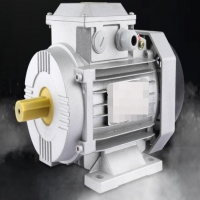 振動(dòng)篩振動(dòng)電機(jī)怎樣調(diào)整偏心塊?「今日熱點(diǎn)」